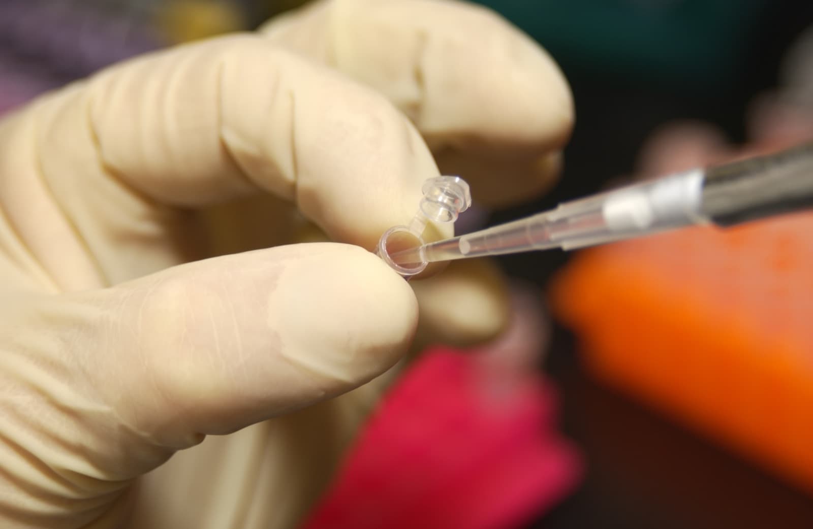 Gloved researcher pipetting DNA into a microcentrifuge tube