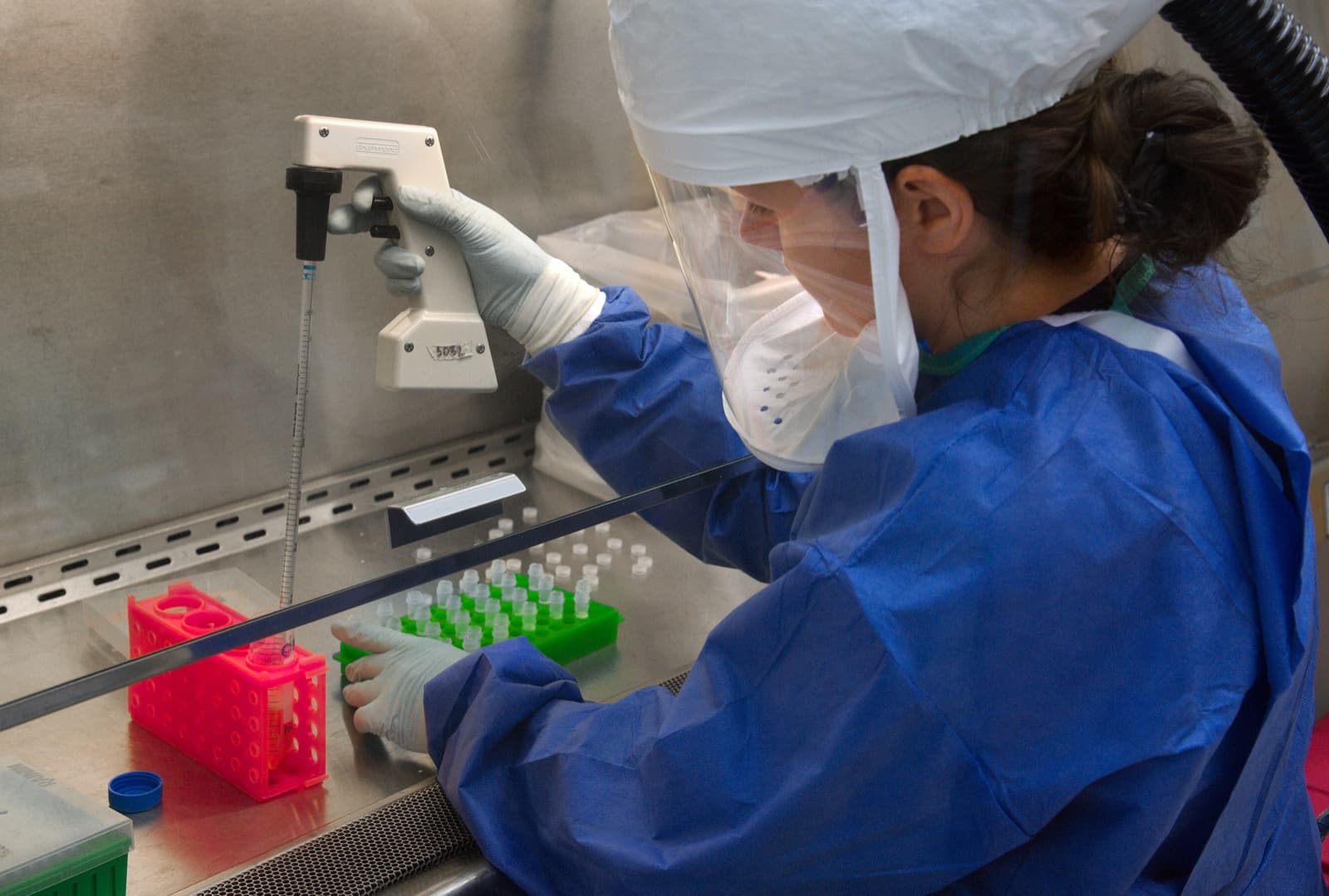 Scientist in protective equipment handling virus samples in a biosafety cabinet