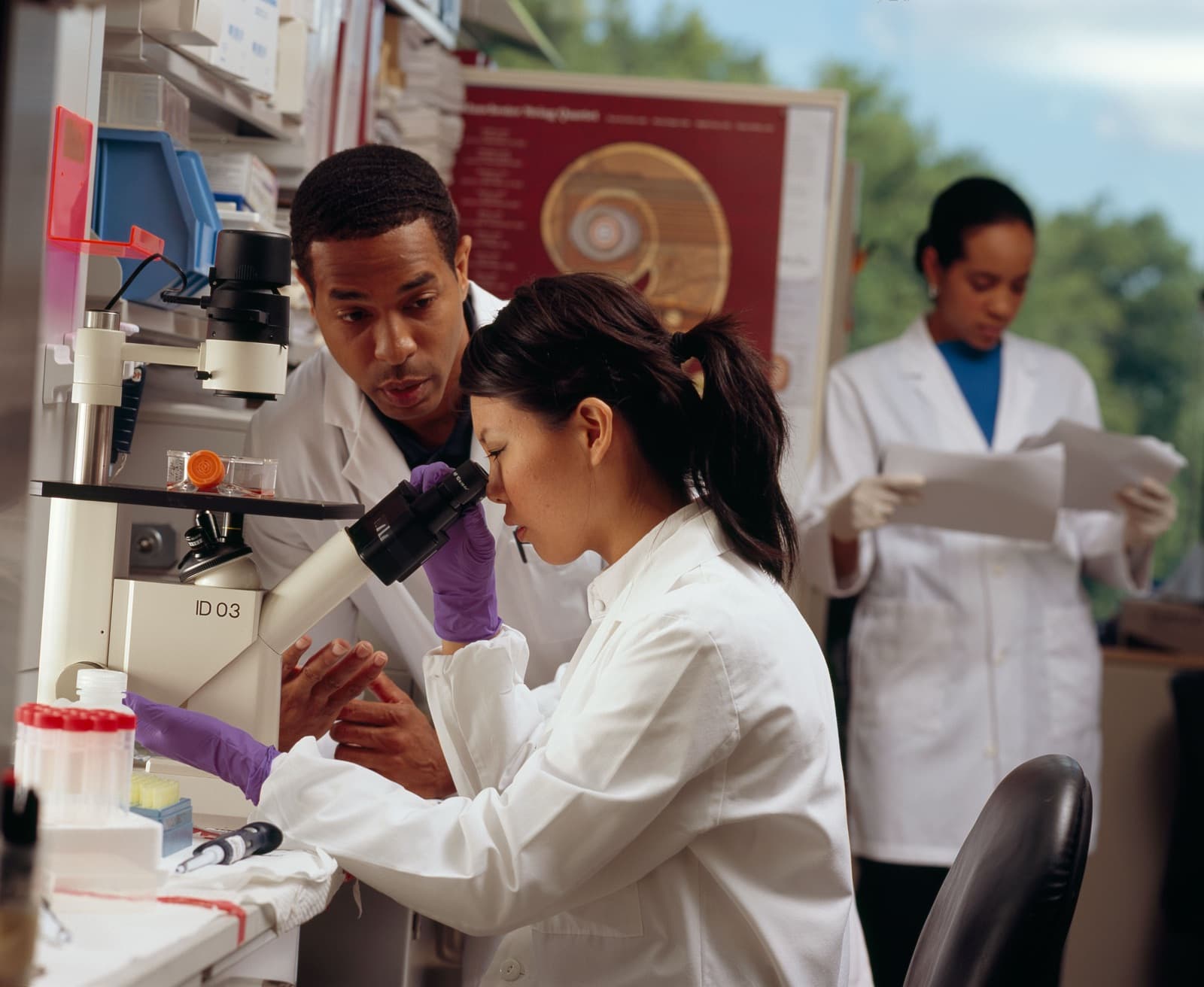 Two scientists collaborating at a microscope in a research laboratory