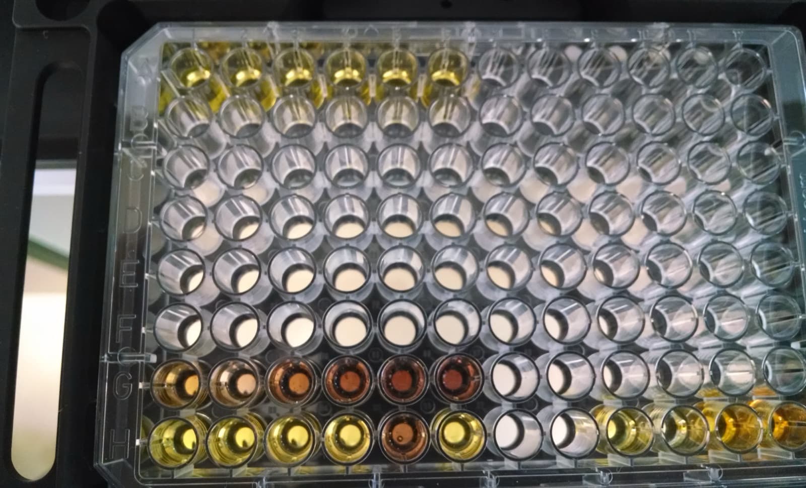 Colorimetric assay microplate with amber and yellow reagent wells