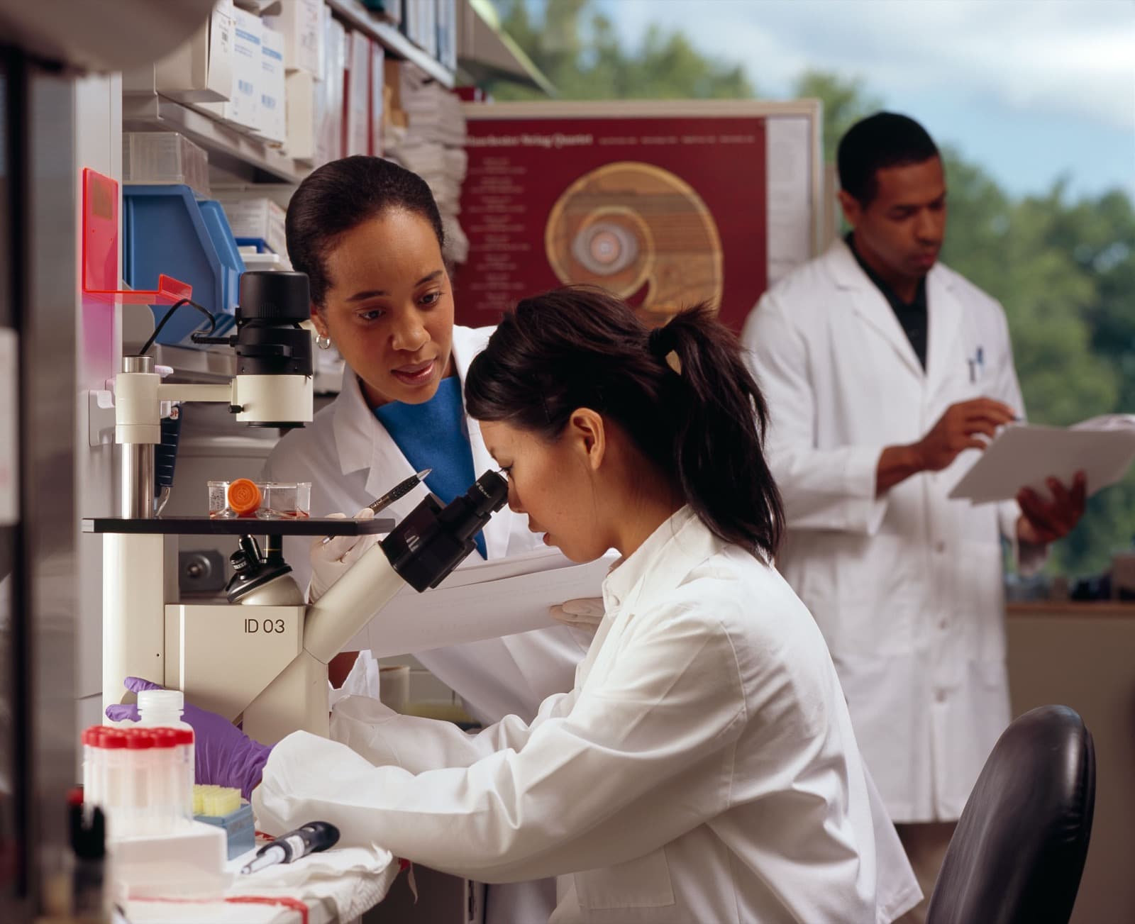 A team of scientists working together in a research laboratory