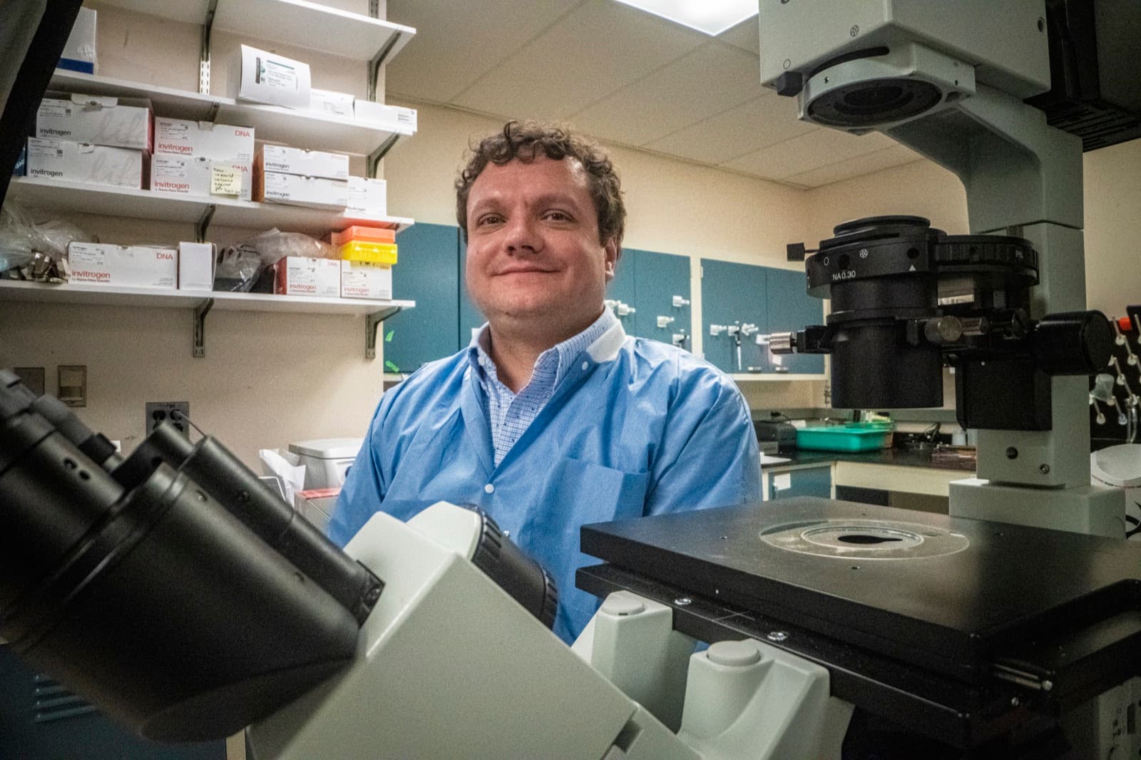 A university research scientist at a microscope in a molecular biology laboratory