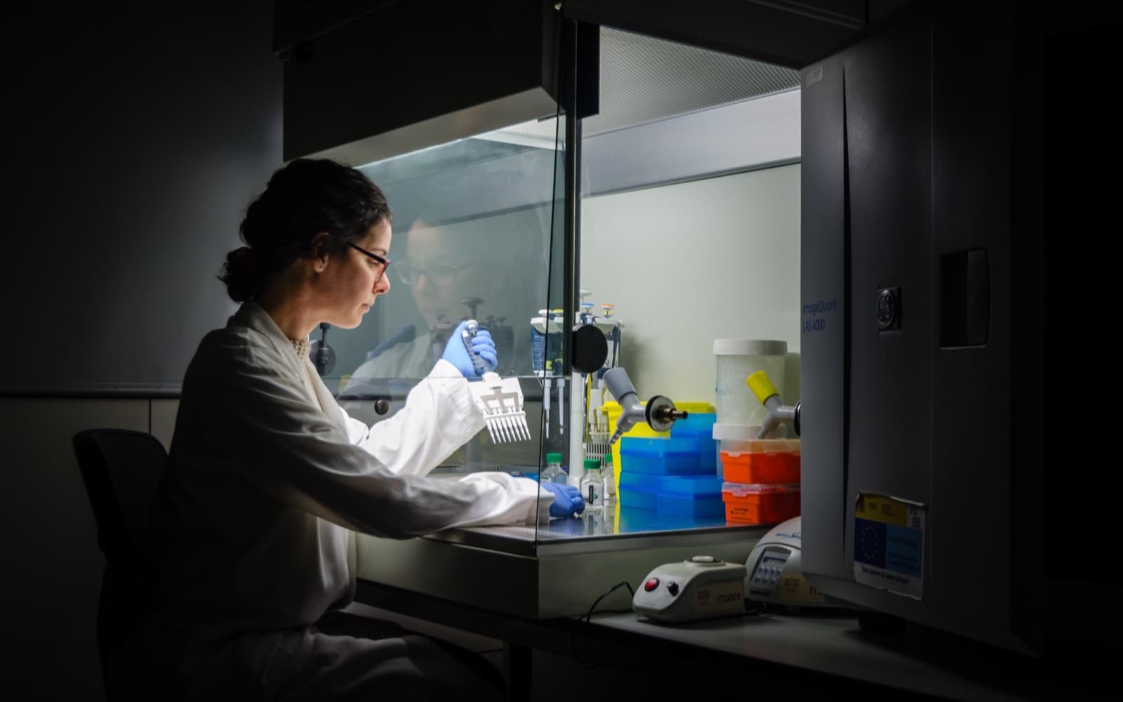 Scientist pipetting at a laboratory workstation
