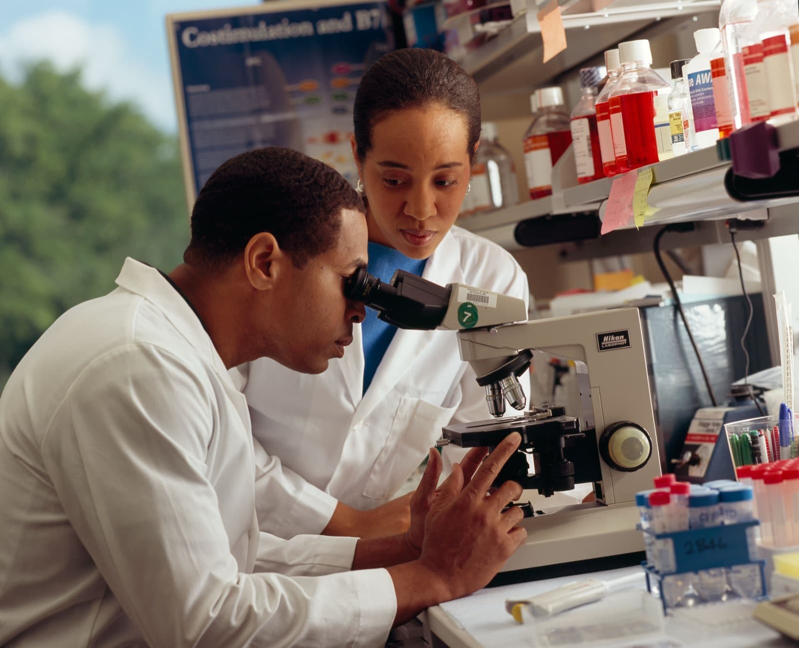 Scientist examining a specimen slide under a light microscope